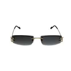 CARTIER OCCHIALI DA SOLE CT0465S