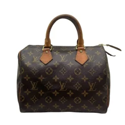 LOUIS VUITTON SPEEDY 25 MONOGRAM