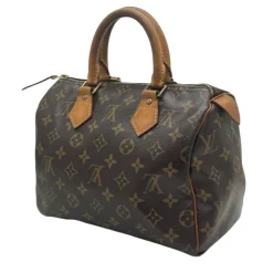 LOUIS VUITTON SPEEDY 25 MONOGRAM