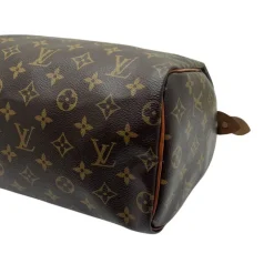 LOUIS VUITTON SPEEDY 25 MONOGRAM